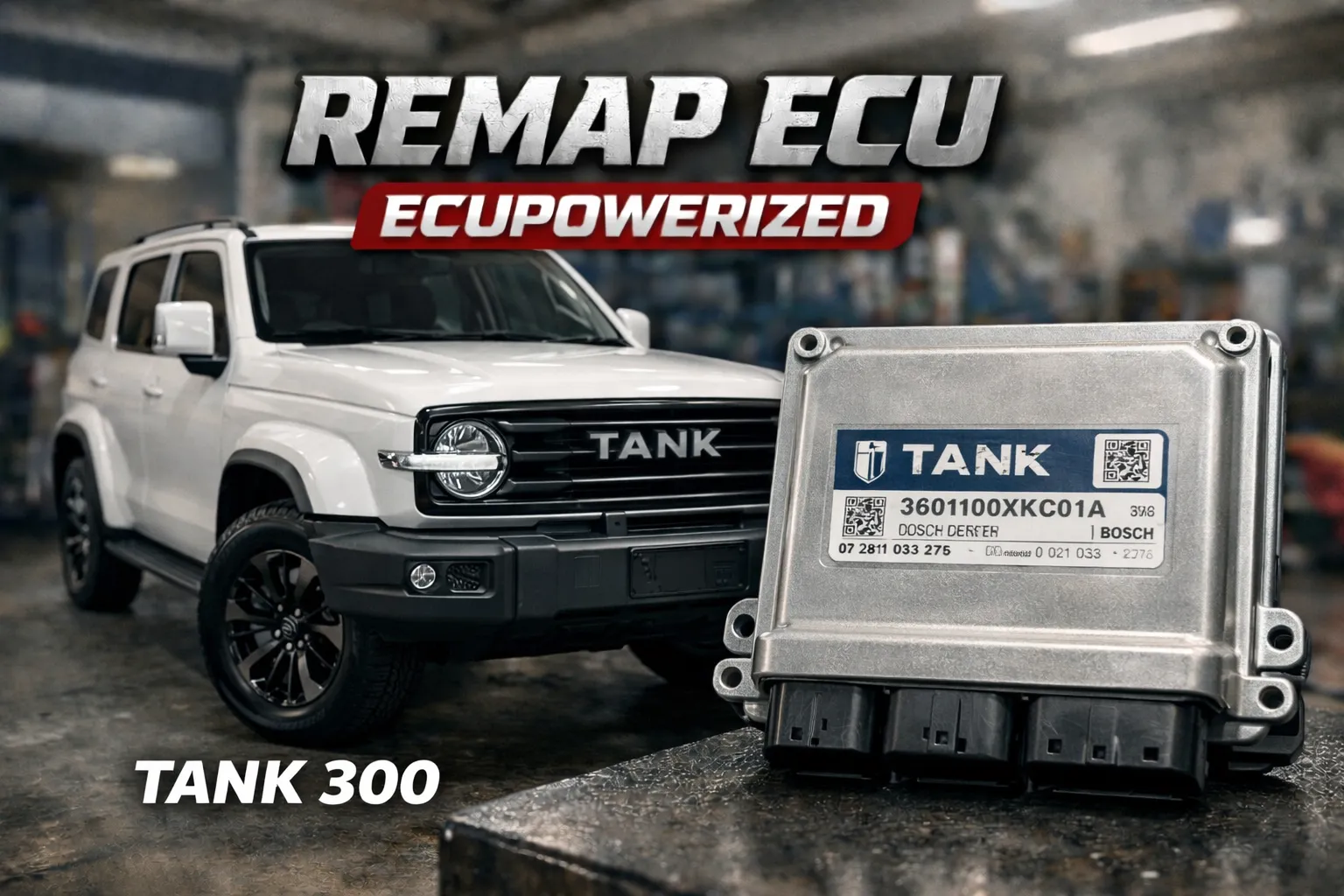 REMAP ECU AND FILE TUN SERVICE