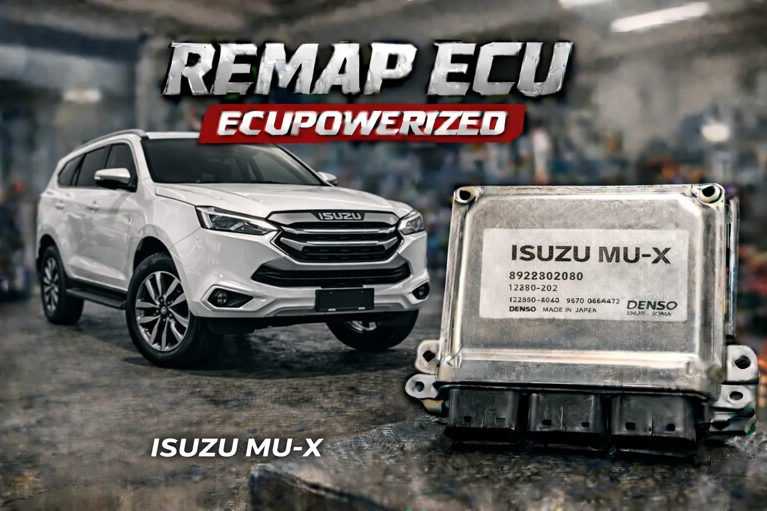 REMAP ECU AND FILE TUN SERVICE